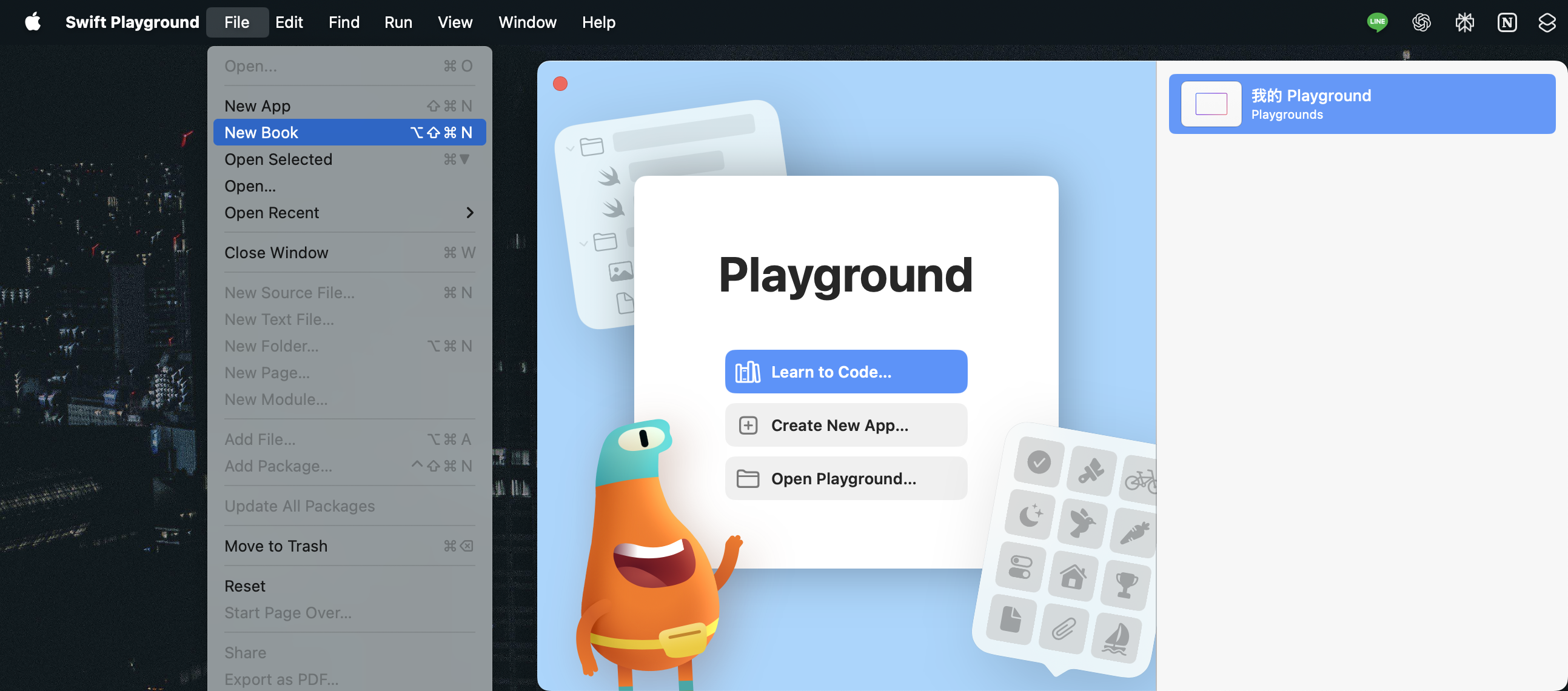 playground1